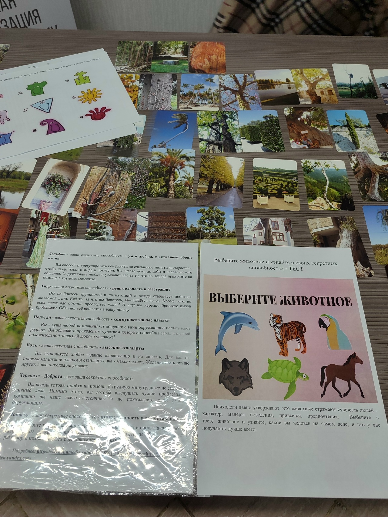 C33WnckzrHjjQ7HzfpNEbXOjJkc88hCrZBs2JPGLgEbcLg sq5Nv7uaER5DOhdJ zf1z38Qcnaym39vmAkgRHgPU